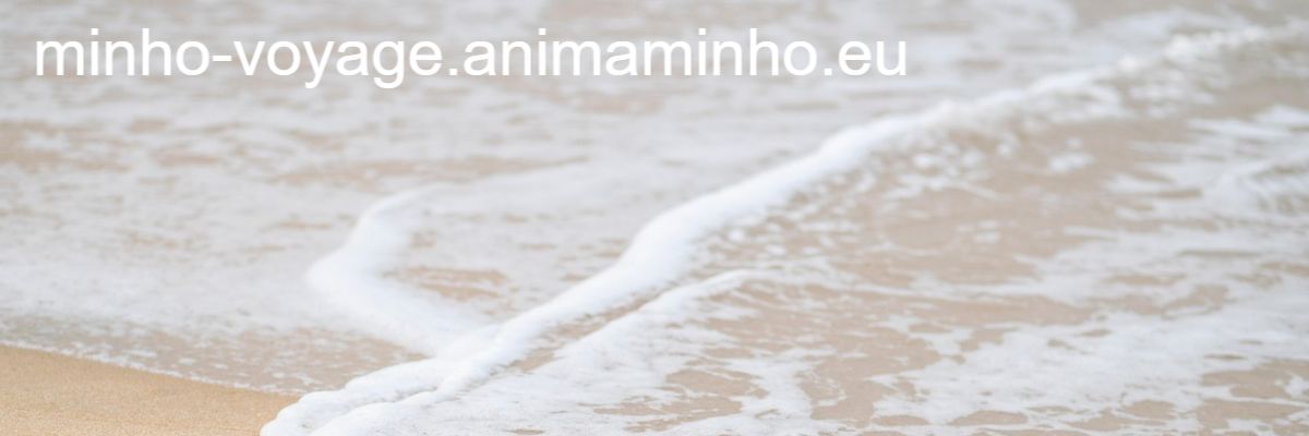 minho-voyage.animaminho.eu